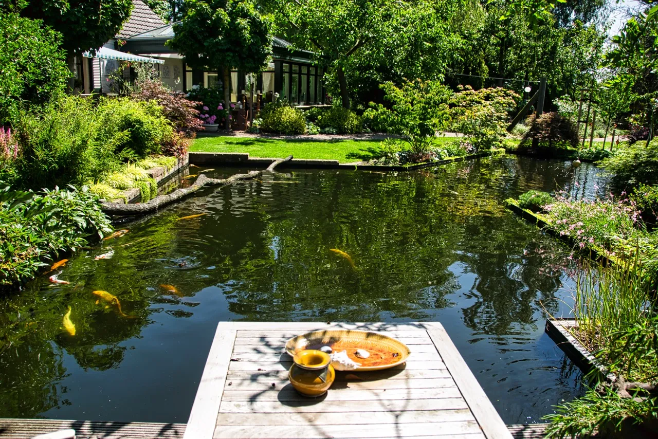 Parkähnlicher Garten mit Teich und Pool in Kevelaer